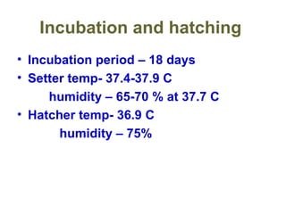 Image showcasing Quail production | PPT