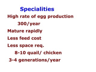 Specialities  High rate of egg production 300/year Mature rapidly Less feed cost Less space req. 8-10 quail/ chicken  3-4 generations/year 