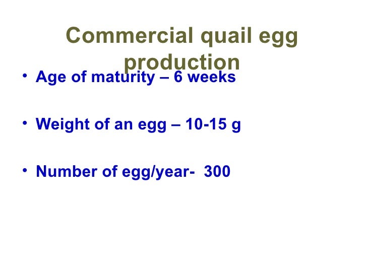 Quail production