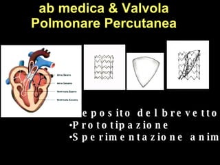 ab medica & Valvola Polmonare Percutanea Deposito del brevetto Prototipazione Sperimentazione animale 