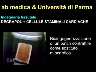ab medica & Università di Parma Ingegneria tissutale DEGRAPOL + CELLULE STAMINALI CARDIACHE Bioingegnerizzazione di un patch contrattile come sostituto miocardico 