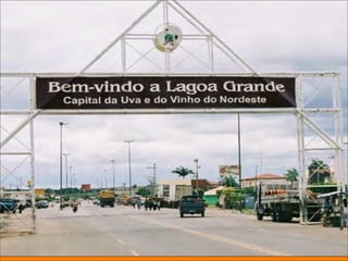 Qualidade na agricultura




André Jun Nishizawa
 