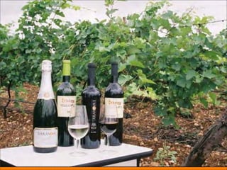 Qualidade na agricultura




André Jun Nishizawa
 