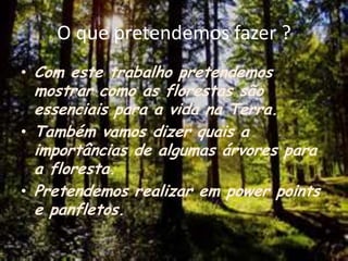O que pretendemos fazer ?Com este trabalho pretendemos mostrar como as florestas são essenciais para a vida na Terra.Também vamos dizer quais a importâncias de algumas árvores para a floresta.Pretendemos realizar em powerpoints e panfletos. 