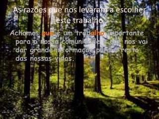 As razões que nos levaram a escolher este trabalhoAchamos que é um trabalho importante para o nossa comunidade e que nos vai dar grande informação para o resto das nossas vidas.  