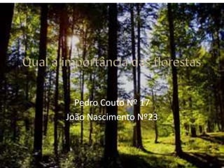Qual a importância das florestas Pedro Couto Nº 17  João Nascimento Nº23 