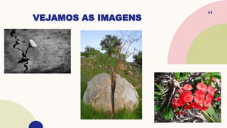 VEJAMOS AS IMAGENS
11
 