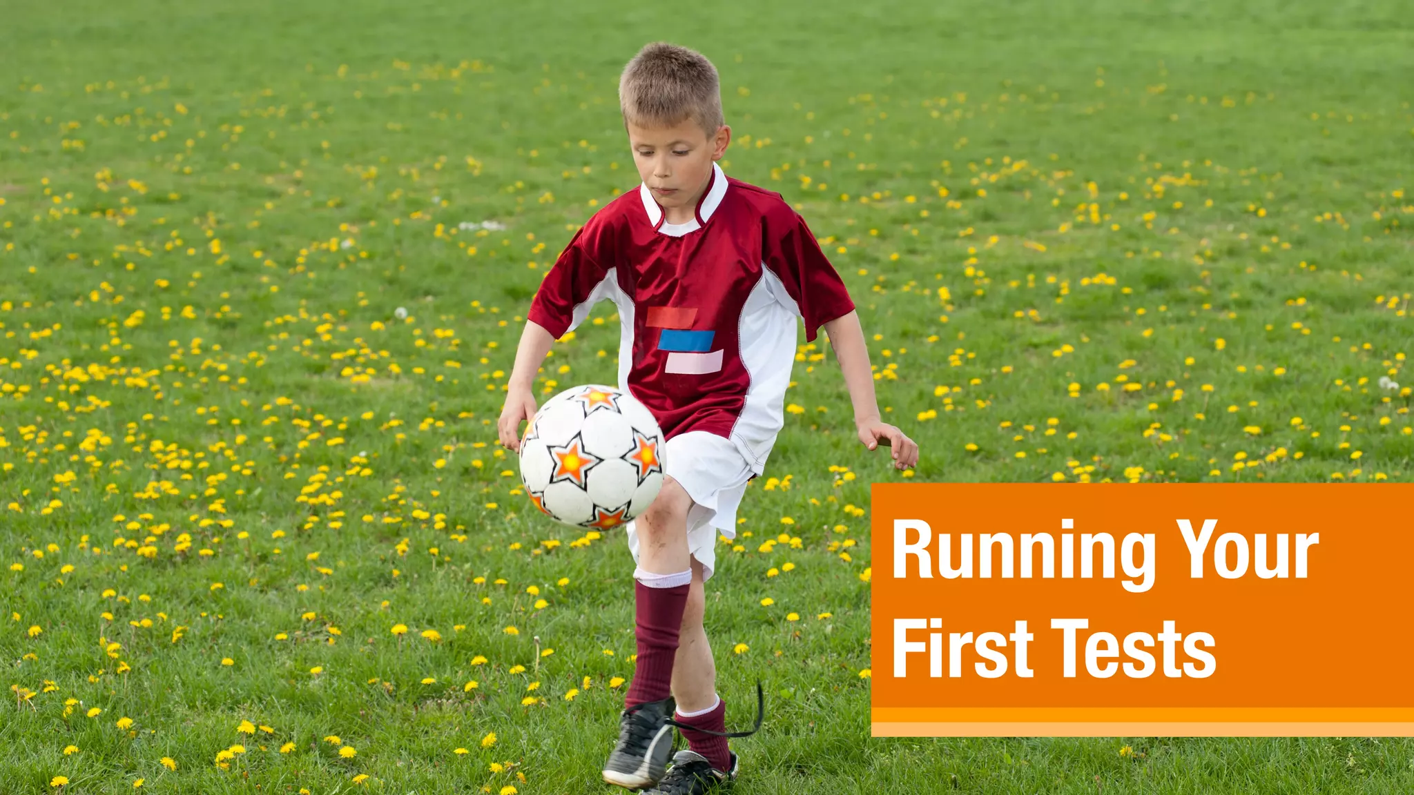 Running Your  
First Tests
 