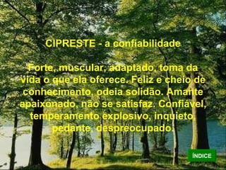 CIPRESTE - a confiabilidade Forte, muscular, adaptado, toma da vida o que ela oferece. Feliz e cheio de conhecimento, odeia solidão. Amante apaixonado, não se satisfaz. Confiável, temperamento explosivo, inquieto, pedante, despreocupado. ÍNDICE 