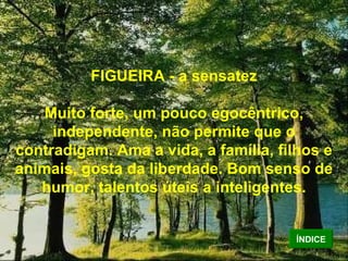 FIGUEIRA - a sensatez Muito forte, um pouco egocêntrico, independente, não permite que o contradigam. Ama a vida, a família, filhos e animais, gosta da liberdade. Bom senso de humor, talentos úteis a inteligentes. ÍNDICE 