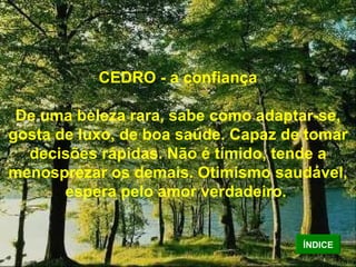 CEDRO - a confiança De uma beleza rara, sabe como adaptar-se, gosta de luxo, de boa saúde. Capaz de tomar decisões rápidas. Não é tímido, tende a menosprezar os demais. Otimismo saudável, espera pelo amor verdadeiro.   ÍNDICE 