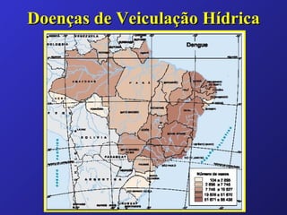 Doenças de Veiculação Hídrica 