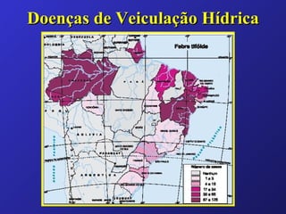 Doenças de Veiculação Hídrica 