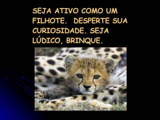SEJA ATIVO COMO UM FILHOTE.  DESPERTE SUA CURIOSIDADE. SEJA LÚDICO, BRINQUE. 