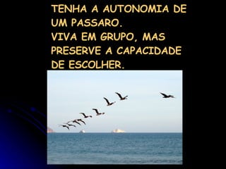TENHA A AUTONOMIA DE UM PASSARO. VIVA EM GRUPO, MAS PRESERVE A CAPACIDADE DE ESCOLHER. 