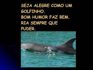 SEJA ALEGRE COMO UM GOLFINHO. BOM HUMOR FAZ BEM. RIA SEMPRE QUE PUDER. 