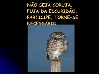 NÃO SEJA CORUJA. FUJA DA ESCURIDÃO. PARTICIPE, TORNE-SE NECESSÁRIO. 