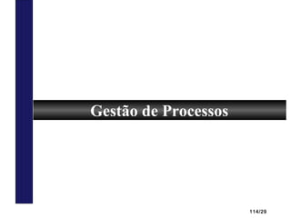 114/29
Gestão de Processos
 