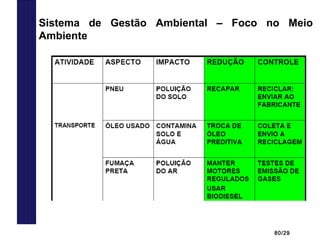 80/29
Sistema de Gestão Ambiental – Foco no Meio
Ambiente
 