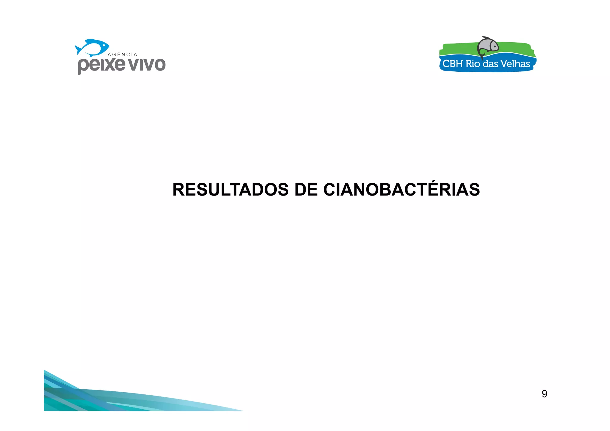 RESULTADOS DE CIANOBACTÉRIAS
9
 