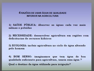Qualidade da água para irrigação