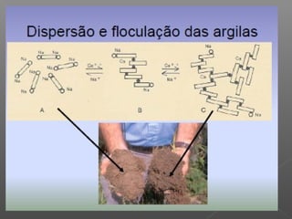Qualidade da água para irrigação