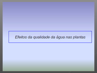 Qualidade da água para irrigação
