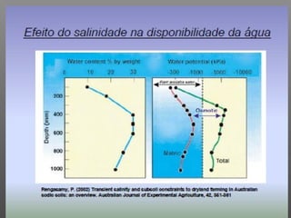 Qualidade da água para irrigação