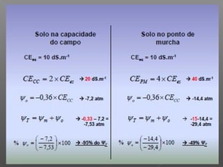 Qualidade da água para irrigação