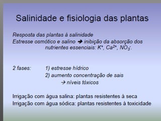 Qualidade da água para irrigação