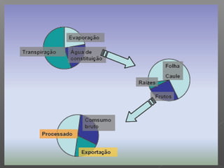 Qualidade da água para irrigação