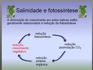 Qualidade da água para irrigação