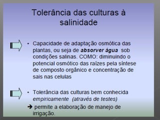 Qualidade da água para irrigação