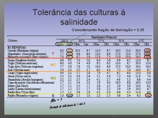 Qualidade da água para irrigação