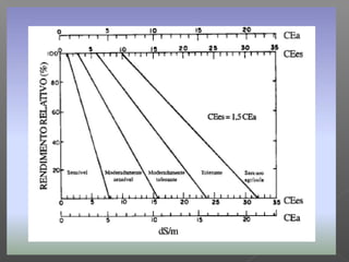 Qualidade da água para irrigação