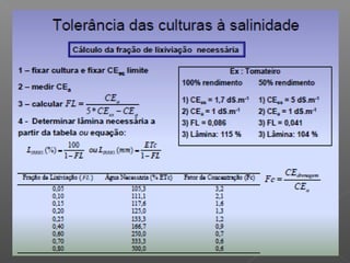 Qualidade da água para irrigação