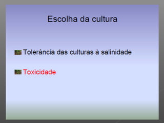 Qualidade da água para irrigação