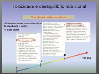 Qualidade da água para irrigação