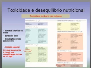 Qualidade da água para irrigação