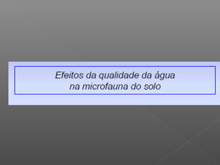 Qualidade da água para irrigação