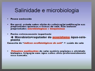 Qualidade da água para irrigação