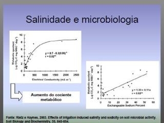 Qualidade da água para irrigação