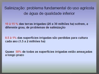 Qualidade da água para irrigação