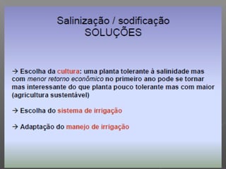 Qualidade da água para irrigação