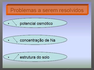 Qualidade da água para irrigação