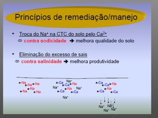 Qualidade da água para irrigação
