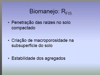 Qualidade da água para irrigação