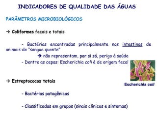 PARÂMETROS MICROBIOLÓGICOS
 Coliformes fecais e totais
- Bactérias encontradas principalmente nos intestinos de
animais de “sangue quente”
 não representam, por si só, perigo à saúde
- Dentre as cepas: Escherichia coli é de origem fecal
 Estreptococos totais
- Bactérias patogênicas
- Classificadas em grupos (sinais clínicos e sintomas)
INDICADORES DE QUALIDADE DAS ÁGUAS
Escherichia coli
 