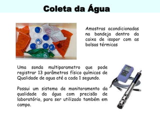 Coleta da Água
Uma sonda multiparametro que pode
registrar 13 parâmetros físico químicos de
Qualidade de agua até a cada 1 segundo.
Possui um sistema de monitoramento da
qualidade da água com precisão de
laboratório, para ser utilizado também em
campo.
Amostras acondicionadas
na bandeja dentro da
caixa de isopor com as
bolsas térmicas
 