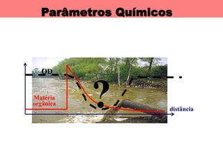 Parâmetros Químicos
distância
OD
Matéria
orgânica ?
 